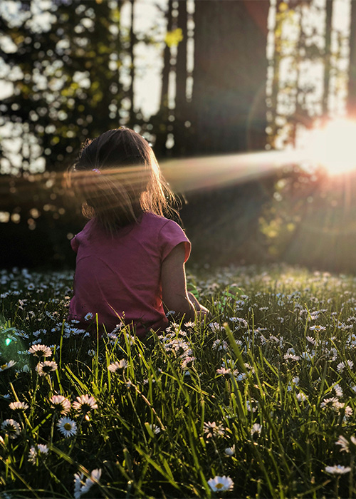 Little girl sitting in a field looking at a sunset